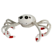 Load image into Gallery viewer, Spider Monkey