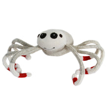 Load image into Gallery viewer, Spider Monkey