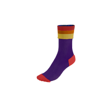 Load image into Gallery viewer, Pook Super Socks - Rainbow